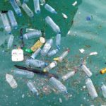 海洋プラごみ対策に170億円を計上！プラスチックごみ関連銘柄に注目！